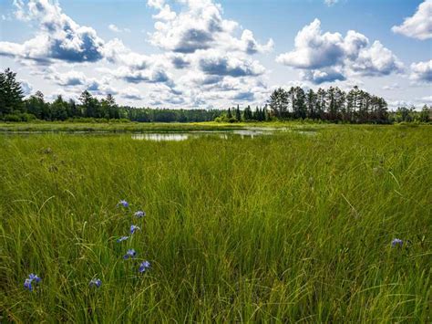 Top 5 Hikes and Walks in Chequamegon-Nicolet National Forest | Komoot