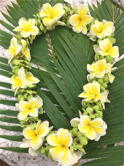 Real Flower Leis | Best Flower Site