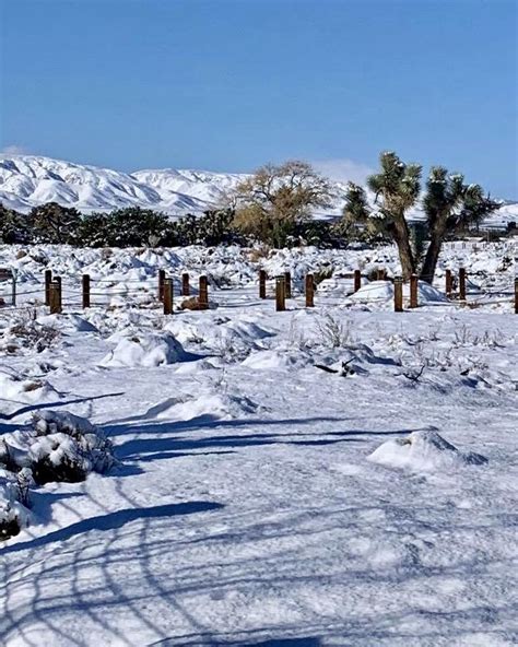 a snow covered field with trees and mountains in the background