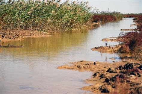 中国最美的6大沼泽湿地：三江平原湿地，扎龙湿地，美景之地