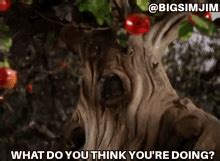 Wizard Of Oz Apple Tree GIFs | Tenor