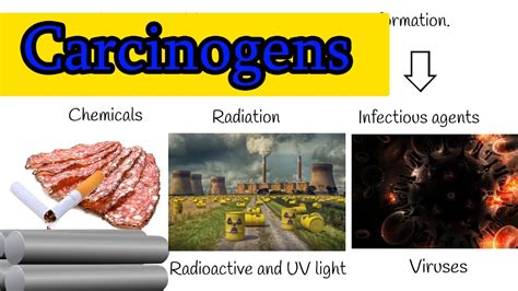 Carcinogen Examples