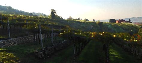 The Valpolicella Wine Region Discovery Guide - Goparoo