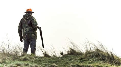 Chasse Les Munitions Au Plomb Menace Pour La Sant Publique