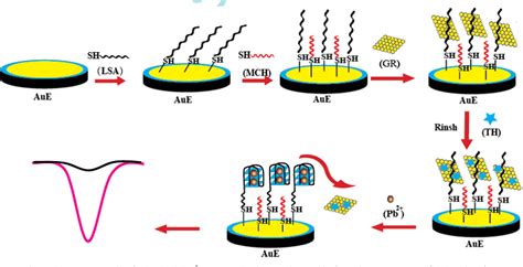 Figure From Label Free Electrochemical Lead Ii Aptasensor Using