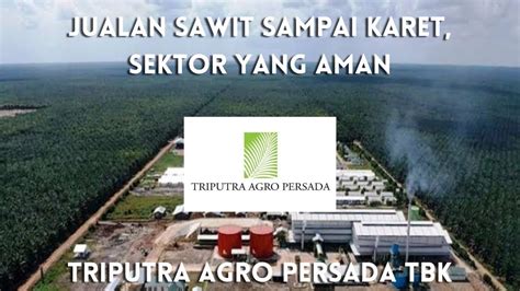 Triputra Agro Persada Tbk Saham TAPG Dekat Dengan ASII SRTG YouTube