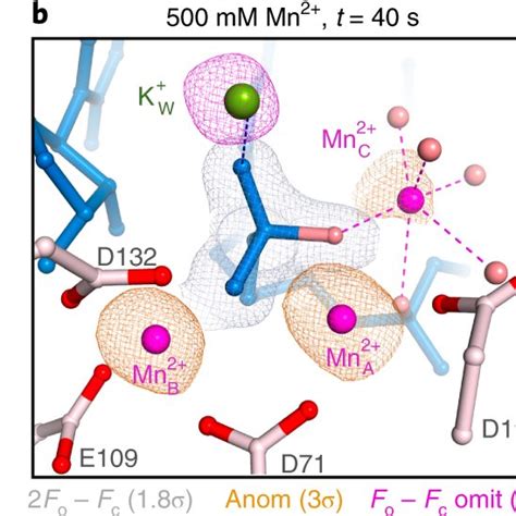 Analysis Of Human Rnase H Cleavage Patterns For Fhna Gap Modified Asos