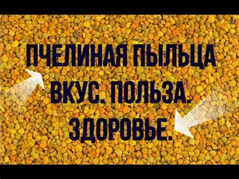 Польза ПЧЕЛИНОЙ ПЫЛЬЦЫ. Здоровье и Вкус в КАЖДОМ ЗЕРНЕ - YouTube