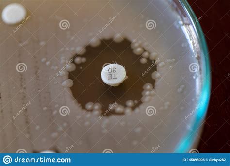 Testes De Droga Da Microbiologia Foto De Stock Imagem De M Dico