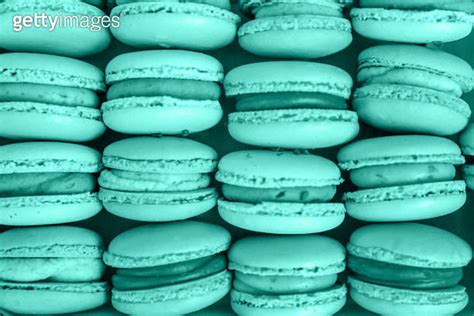 Sweet Almond Macaron Or Macaroon Dessert Cake Colored In Trendy Color