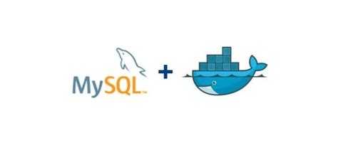 Docker中mysql的安装与实践 极客之音