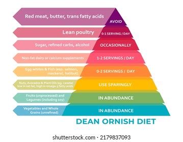 Learning Pyramid Active Passive Stages Vector Stock Vector Royalty