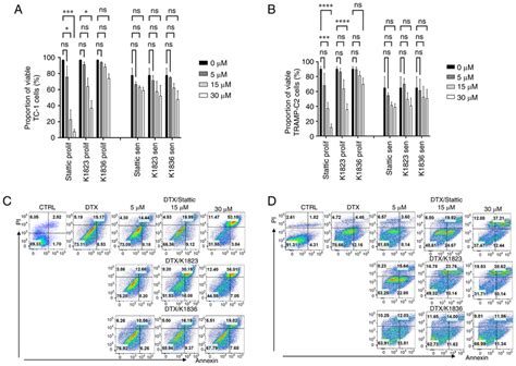 Cytotoxic Effects Of Stattic And Novel STaT3 Inhibitors On