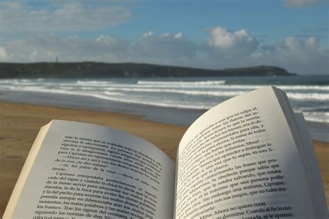 Reading,beach,book,sea,reading a book on the beach - free image from ...