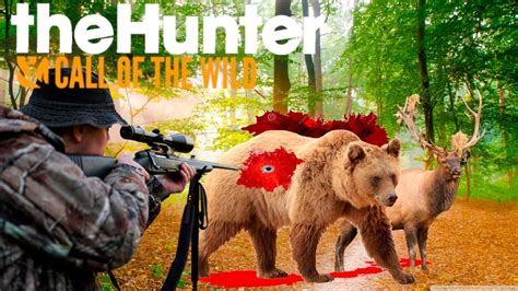 The Hunter Call Of The Wild BIG Bears YouTube