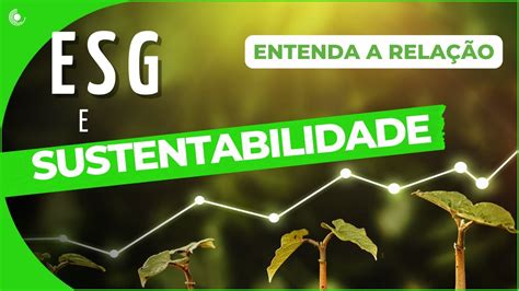 Esg E Sustentabilidade Entenda A Rela O Entre Os Dois Conceitos