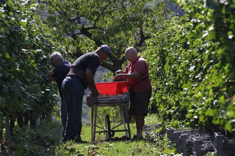 Sustainability Cantine Di Verona