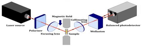 Schematic Diagram Of The Transverse Magneto Optical Kerr Effect TMOKE