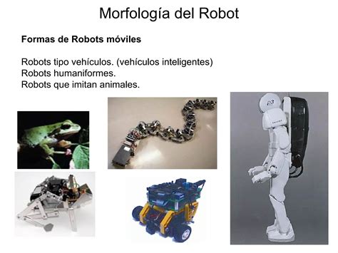 Morfologia Del Robot Ppt Descarga Gratuita