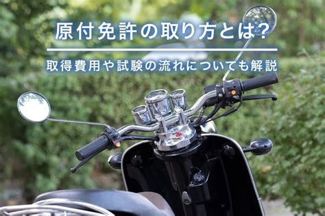 原付免許の取り方とは？取得費用や試験の流れについても解説 合宿免許を探すなら【do Live】