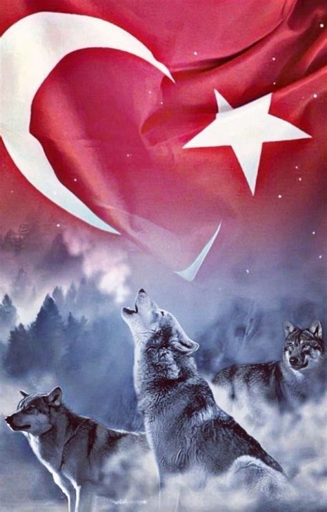 Türkiye 🇹🇷 Bozkurt Retro Posterler 11 Nisan