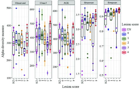 Alpha Diversity Plots For Each Treatment Group Plot Of Bacterial