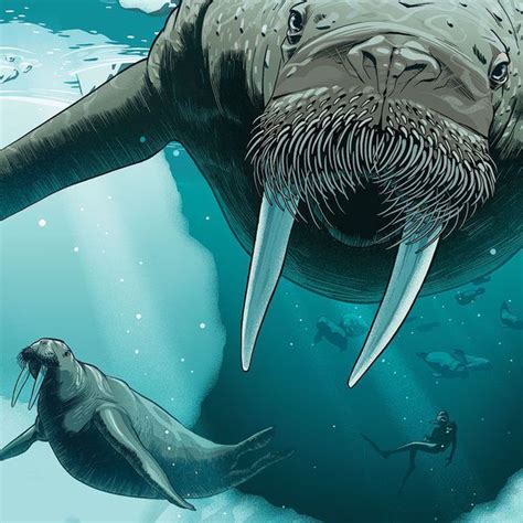 We don't know, but apparently it's a whole lot more than just coo coo