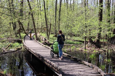 Mujer Con El Cochecito Verde Caminando Por El Sendero De Madera Por El