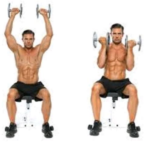 Arnold Press By Silas Eisenback Exercise How To Skimble