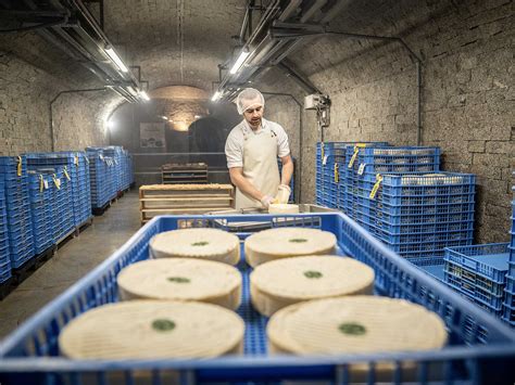 Affinage en Cave Saint Nectaire Fermier et Cantal de Qualité Supérieure