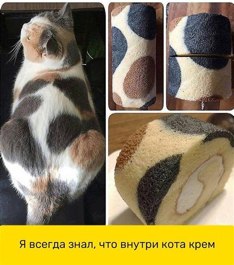Торт в виде кота - хорошая идея для кондитера, ... | Идеи для жизни ...