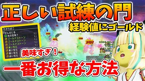 ドラクエ10 初心者必見！一度に3度おいしい試練の門を一番美味しく周る方法を伝授！【ドラクエ10】 Youtube