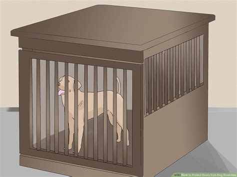 How To Stop Dogs Scratching Glass Doors - Glass Door Ideas