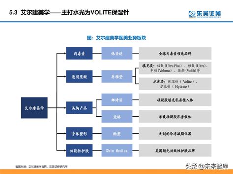 医美行业深度研究报告：进击的水光针 报告精读 未来智库