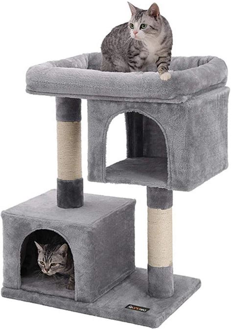 Top 10 Best Cat Trees for Large Cats in 2019 - Reviewed