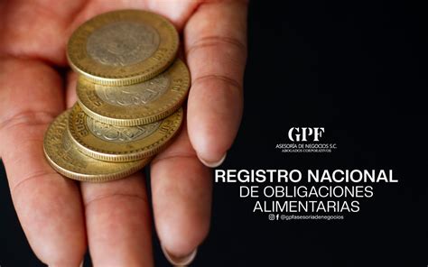 Registro Nacional De Obligaciones Alimentarias