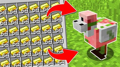 GALINHA DOS OVOS DE OURO NO MINECRAFT YouTube