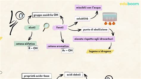 I Fenoli Differenze E Similitudini Con Gli Alcoli Scienze Naturali