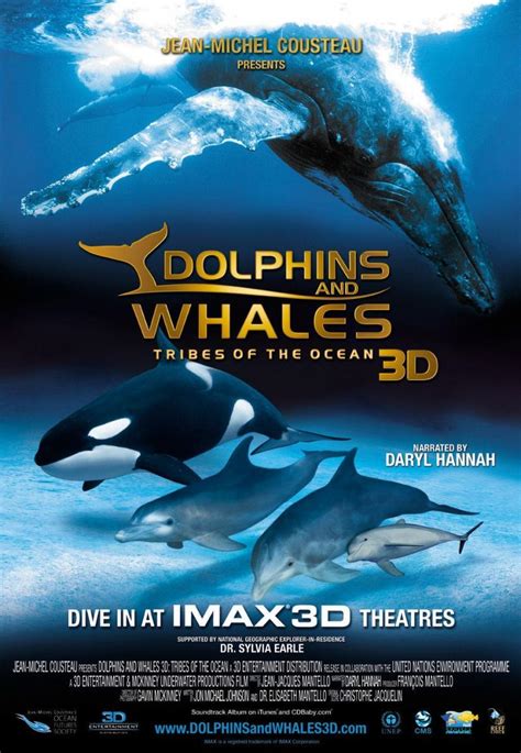 Delfines Y Ballenas 2008 Filmaffinity