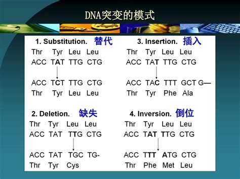 Ppt 第五讲 分子进化与系统发育分析 Powerpoint Presentation Id4249272