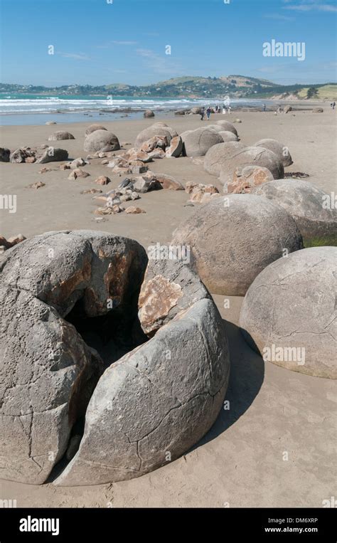 Moeraki Boulders Or Kaihinaki Hampden East Otago South Island New