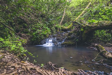 Time-lapse Photography of Flowing Plunge Waterfalls · Free Stock Photo