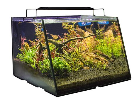 The Best Gallon Fish Tanks Under For Your Slippery Pets