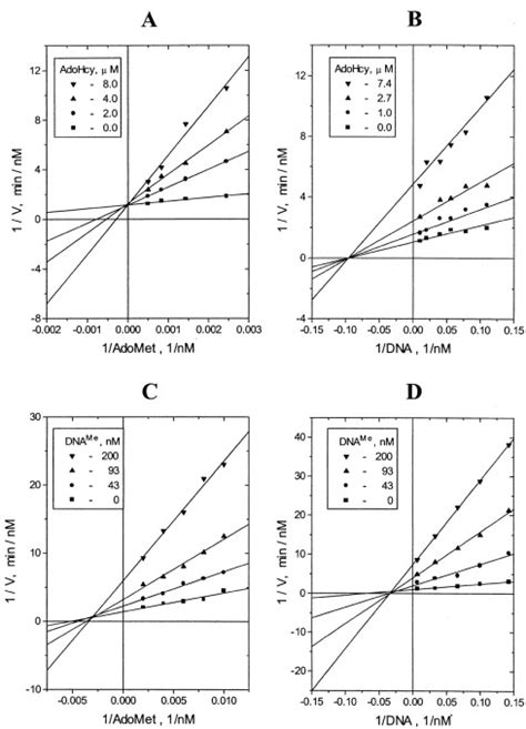 Bacteriophage T4 Dam Dna [n6 Adenine]methyltransferase Journal Of