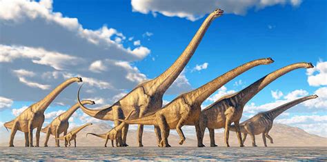 Top 10 World’s Largest Dinosaurs Ever!