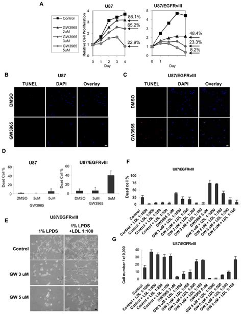 The Lxr Agonist Gw3965 Promotes Gbm Cell Death In Vitro With Enhanced