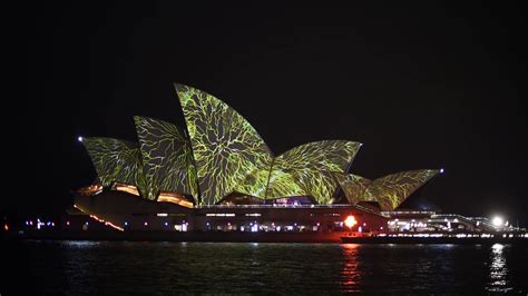 Vivid Sydney El Increíble Festival Lumínico Infobae