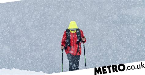 Weather in Antarctica is changing and it's snowing much more | Metro News