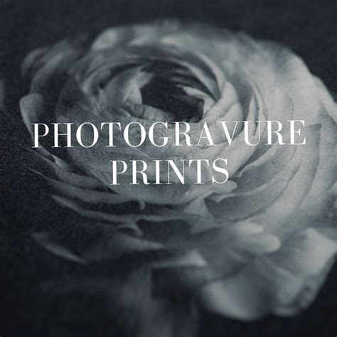 Photogravure Prints - Latest prints available now — Rosalind Hobley