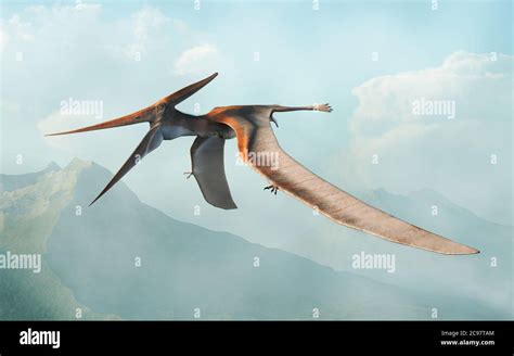 A Pteranodon Flies In The Air Over A Prehistoric Valley One Of The